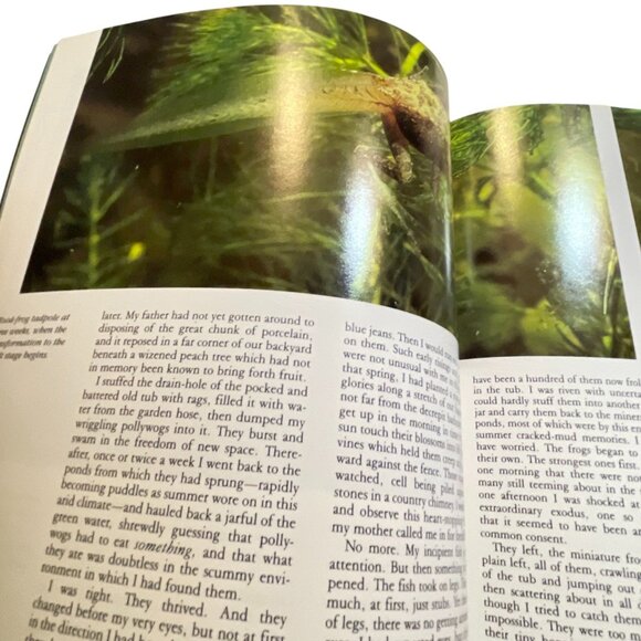 Audubon Nature Yearbook 1988 Hardcover Book - Picture 3 of 7